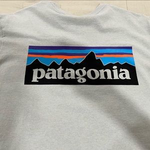 Patagonia Tshirt